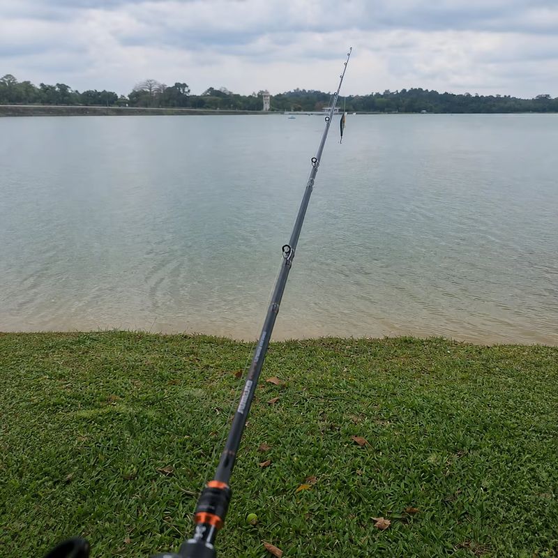 HASIDA Butterfly Limited Lure  - Fishing Rod Spinning ulasan dan harga